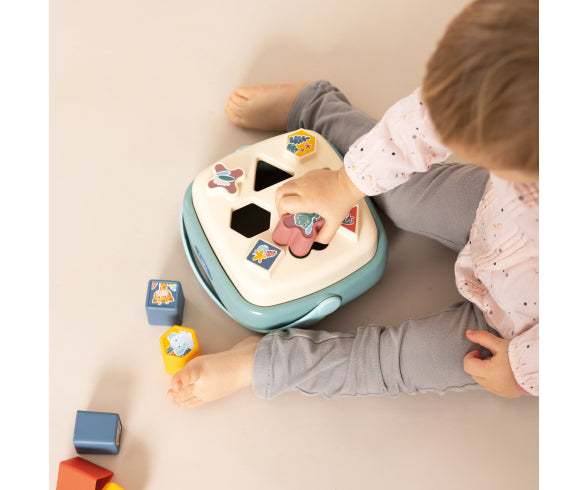 LS Shape Sorter Basket